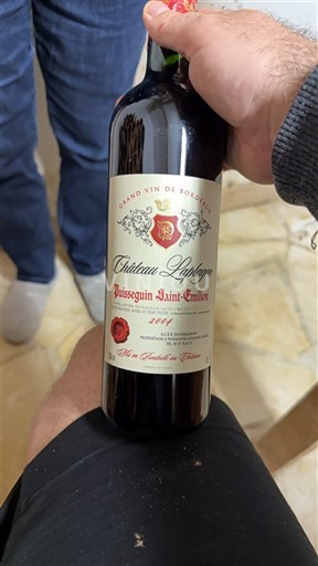 Burdeos Puisseguin-saint-émilion Château Laplagne 2004