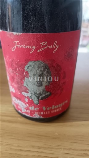 Sudoeste Cahors Bois de chat Côte Velours Vieilles Vignes 2019