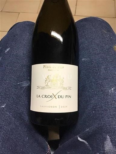 Loire Valley La Croix du Pin Sauvignon 2024