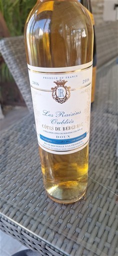 Tây Nam Côtes-de-bergerac Les Raisins Oubliés 2016
