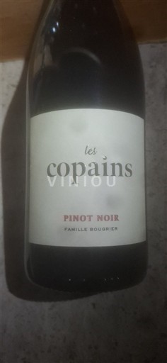 Loire-dalen Ikke specificeret Famille Bougrier Les Copains 2024