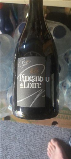 Loirevallei Niet gespecificeerd Domaine Pigeaud 2021