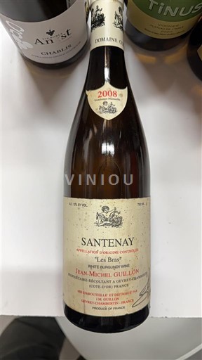 Bourgogne Santenay Domaine Jean-Michel Guillon Les Brins 2008