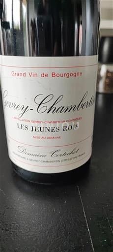 Borgonha Gevrey-chambertin Domaine Tortochot Les Jeunes Rois 2010