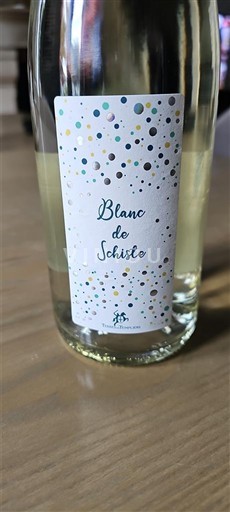 Roussillon Côtes-du-Roussillon Domaine Des Schistes Blanc de Schiste Icke årgångsbetecknad