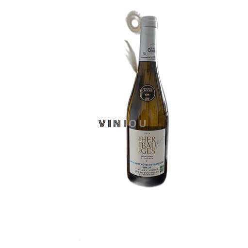 Thung lũng sông Loire Muscadet-côtes-de-grand-lieu Domaine Herbauges 2024