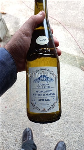 Thung lũng sông Loire Muscadet Sèvre et Maine Château La Cour 2022