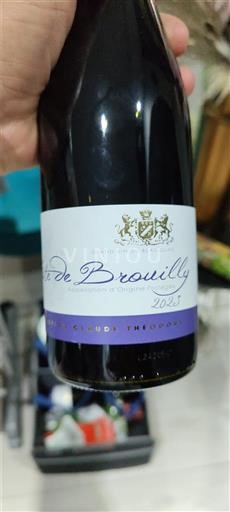 Beaujolais Côte-de-brouilly Château Thivin 2021