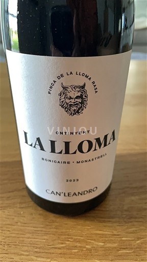 Vin Rouge sec La Lloma Can Leandro 2023 Spanien Valencia-regionen Valencia DO
