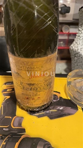 Alsace Hueber Pinot Gris 2010