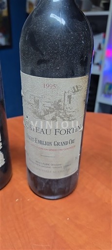 Bordeaux Saint-Émilion Grand Cru Grand Cru Château Fortin 1995