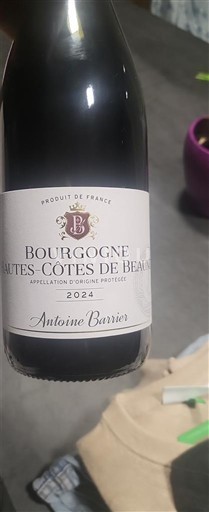 Bourgogne Không được chỉ định Antoine Barrier 2024