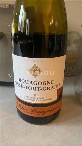 Bourgogne Bourgogne-passetoutgrain Vigné Bourgogne 2023