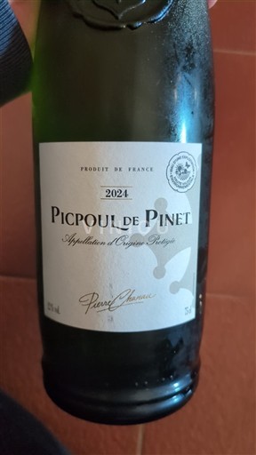 Languedoc Picpoul-de-Pinet Pierre Chavin 2024