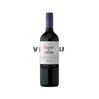 Casablancavallei Casillero del Diablo Casillero del Diablo Merlot 2022
