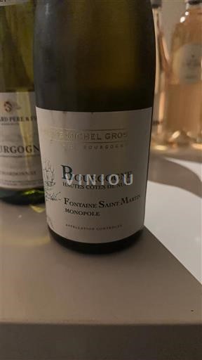 Bourgogne Domaine Michel Gros Fontaine Saint Martin Monopole 2023