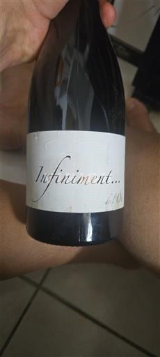 Languedoc và Roussillon Cévennes Domaine L'Ocre Rouge Infiniment... Không niên vụ