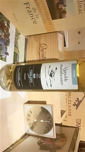 Québec Montérégie Vignoble marathonien Pinot Gris 2024