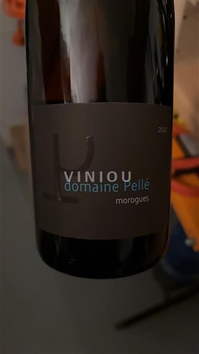 Vallée de la Loire Menetou-salon Domaine Pellé Morogues 2022