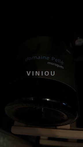 Loiretal Menetou-Salon Domaine Pellé Morogues 2022