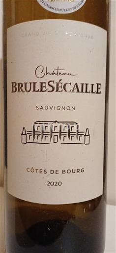 Bordeaux Côtes-de-bourg Château Brulesécaille Sauvignon 2020