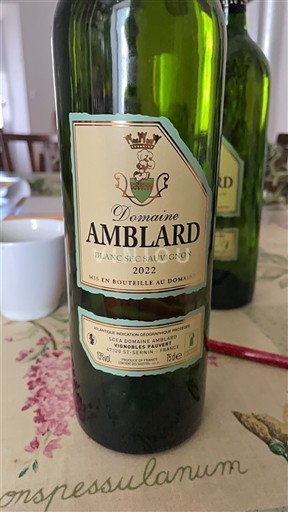 Bordeaux Domaine Amblard Blanc Sec Sauvignon 2022