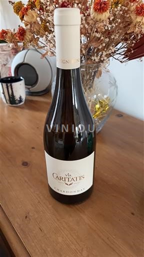 Valle del Ródano Ventoux Via Caritatis Chardonnay 2024