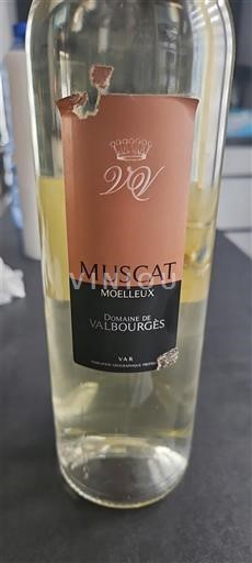 Alsace Muscat Domaine Valbourges 2019