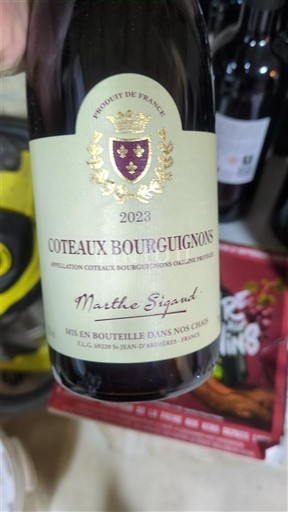 Bourgogne Coteaux bourguignons Marthe Sigaud 2023