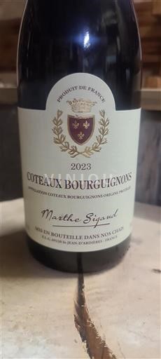 Bourgogne Bourgogne skråninger Marthe Sigaud 2023