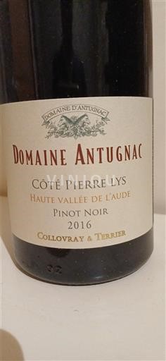 Languedoc và Roussillon Thung lũng cao Aude Domaine Antugnac Côté Pierre Lys 2016