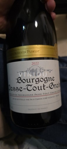 Bourgogne Bourgogne-passetoutgrain Augustin Florent 2022