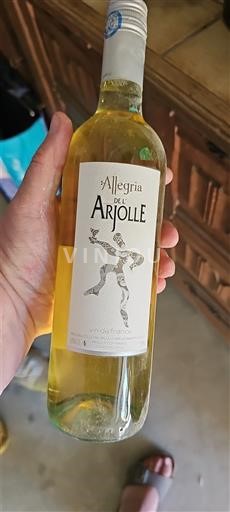 Languedoc và Roussillon Côtes de Thongue Domaine L'Arjolle Allegria 2013