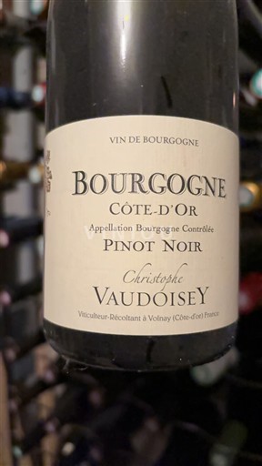 Bourgogne Bourgogne Côte d'Or Christophe Vaudoisey Côte-d'Or Pinot Noir 2021