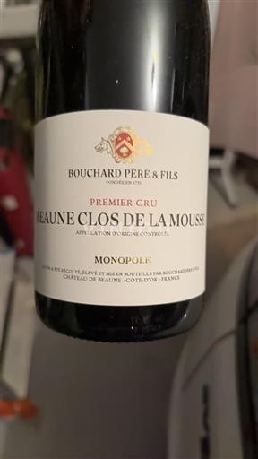 Borgogna Beaune Premier Cru Bouchard Père & Fils Beaune Clos de la Mousse 2015