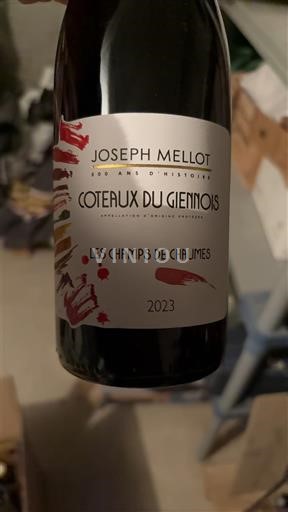 Thung lũng sông Loire Coteaux-du-giennois Joseph Mellot Les Champs de Chaumes 2023