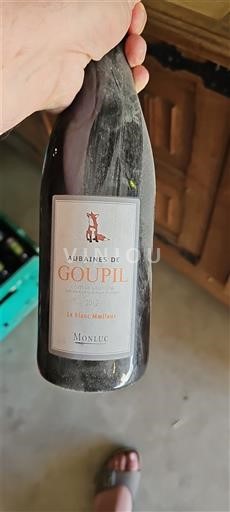Tây Nam Côtes de Gascogne Monluc Aubaines de Goupil Le Blanc Moelleux 2012