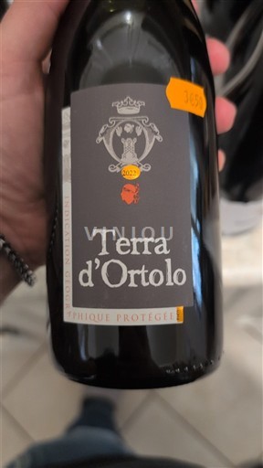 Corse Đảo sắc đẹp Terra Ortolo 2022