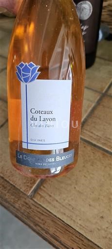 Thung lũng sông Loire Coteaux-du-layon Domaine Des Bleuces Clos des Bûies 2017