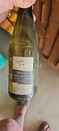 Thung lũng sông Loire Muscadet Sèvre et Maine Vignoble Jaumeau 2018