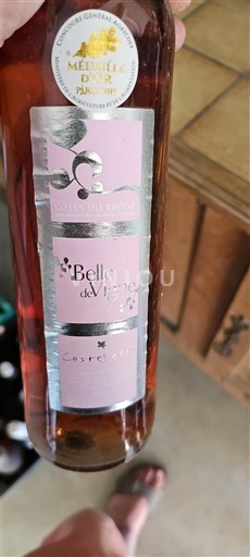 Languedoc và Roussillon Thung lũng Cesse Clos Culombu Belles de Vignes 2018