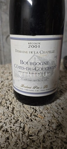 Bourgogne Không được chỉ định Domaine La Chapelle 2001