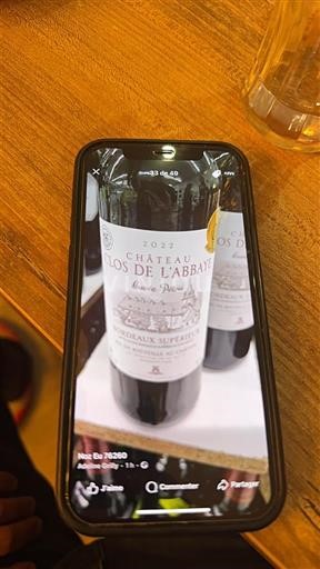 Bordeaux Bordeaux Supérieur Château Clos de l'Abbaye Grande pétra 2022