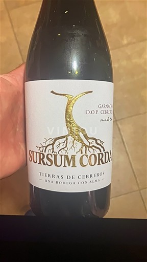 Castilla y León Không được chỉ định Tierras de Cebreros Sursum Corda 4m 2018