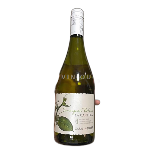 Casablancavallei Casas del bosque Sauvignon blanc 2021