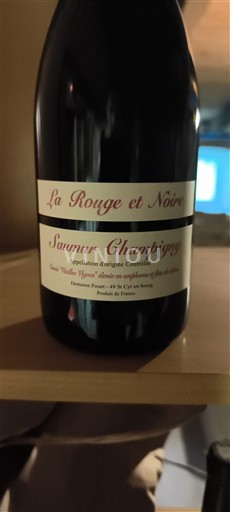 Vallée de la Loire Saumur-champigny Domaine Fouet La Rouge et Noire 2023