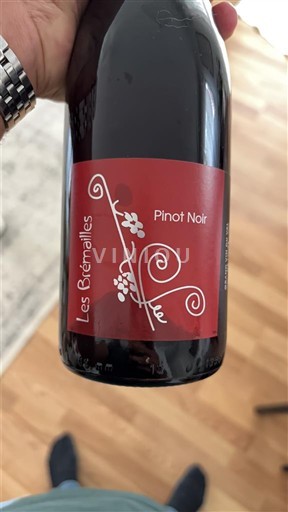Thung lũng sông Loire Thung lũng Loire Les Bémailles Pinot Noir Không niên vụ