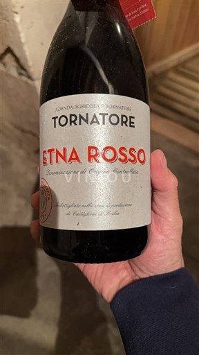 Sicilia Không được chỉ định Tornatore 2019