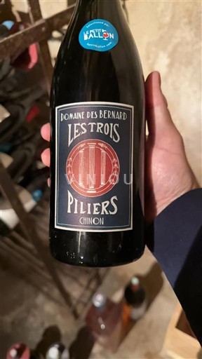 Loire-dalen Chinon Domaine Des Bernard Les Trois Piliers 2023