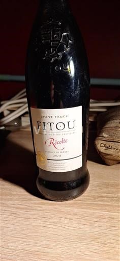 Languedoc Fitou Mont Tauch Récolte 2018